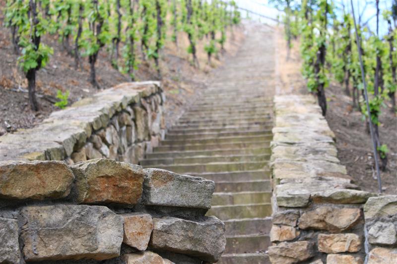 Stone wall and stairs in the vineyard