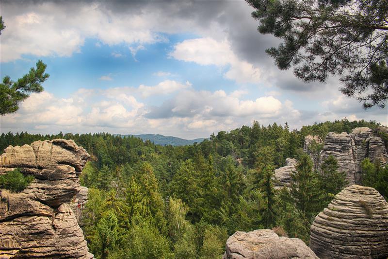 View from high rocks on the forest