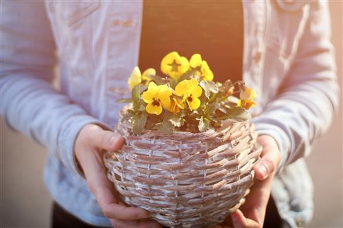 Woman holding basket with flowers